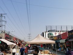 -中环花鸟鱼虫市场