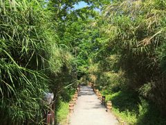 -桤木河湿地公园