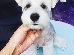 -FAELING PETS美天灵宠物(富力广场店)