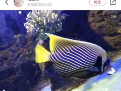 -南昌海洋公园