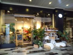 -植物学家的女儿(北马道巷店)