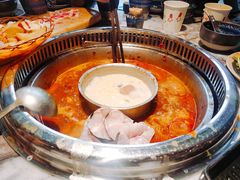 -鱼豆吉·豆浆鱼火锅(宜昌万达店)