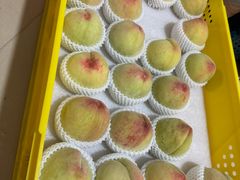 -老袁家蜜桃农场·阳山水蜜桃