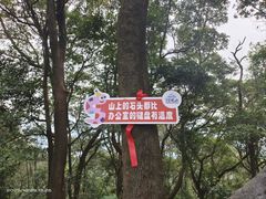 -广州市帽峰山景区