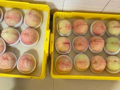 -老袁家蜜桃农场·阳山水蜜桃