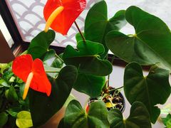 -渝乡人家(和平里店)