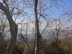 -紫金山天文台