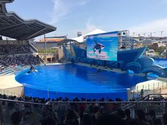 -上海海昌海洋公园