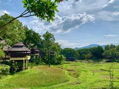 -四季酒店下午茶