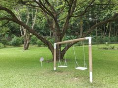 -云溪植物园