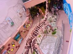 -陕西自然博物馆