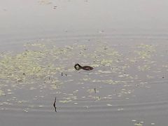 -北京天湖会议中心