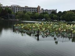 -杭州师范大学(下沙校区)