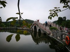 -大屏嶂森林公园