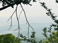 -紫金山山顶公园