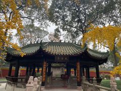 -宝光寺