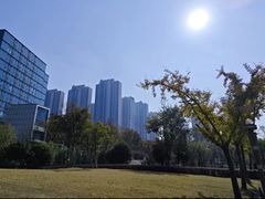-南翔镇银翔湖公园