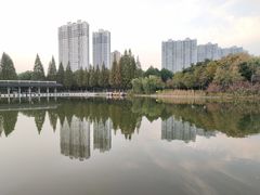 -荆川公园