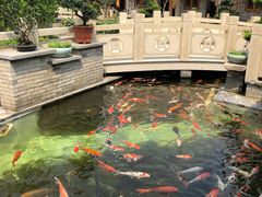 -顺德了能馆(虎门店)