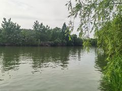 -白塔湖国家湿地公园