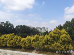 -中山市树木园