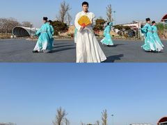 -荷兰花海