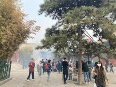 -大海碗·京菜炸酱面(雍和宫店)