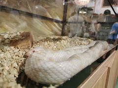 -藦茜花园宠物主题亲子互动体验馆(国顺东路店)