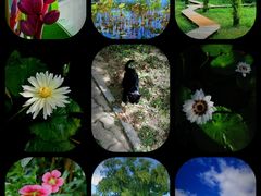 -国家植物园南园