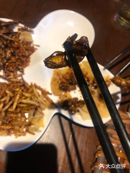 园林美食城·本土农家菜(杨和镇店)图片