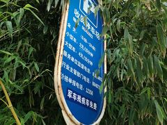 -紫竹院公园-东门停车场