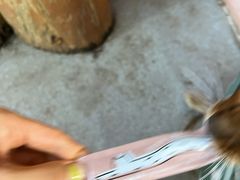 -喵屿·大理花园猫咖