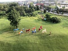 -秦皇岛阿尔卡迪亚滨海度假酒店