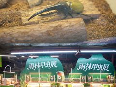 -正佳雨林生态植物园