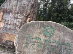 -龙水峡地缝景区