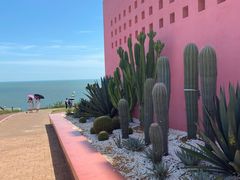 -漳州滨海火山岛自然生态风景区