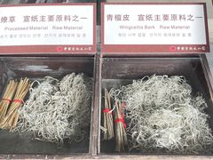 -中国宣纸文化园