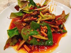 凉拌折耳根-芭菲盛宴·环球美食(北城国际店)