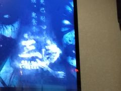 -Mr.Fox狐狸先生超级密室(南山店)