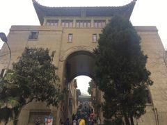 -武汉大学-樱园