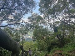 -梧桐山风景名胜区