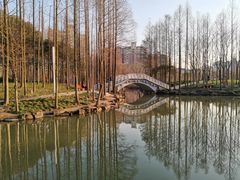 -大宁公园