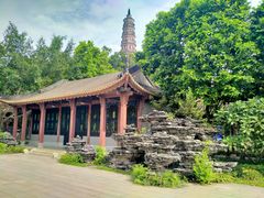 -顺峰山公园