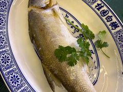 -桂园白粥·潮汕老味道