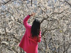 -广州市流溪河国家森林公园