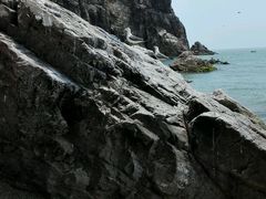 -海驴岛(荣成市)