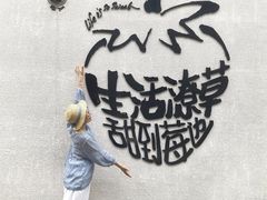 -辛庄国际文化艺术区