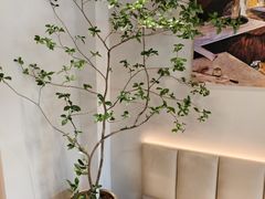 -花神·轻食简餐·咖啡馆·花卉绿植(荷兰花卉小镇店)