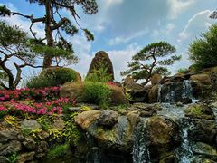 -罗红摄影艺术馆