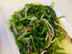 青龙菜清炒-新加坡海鲜共和(名胜世界圣淘沙海滨坊)